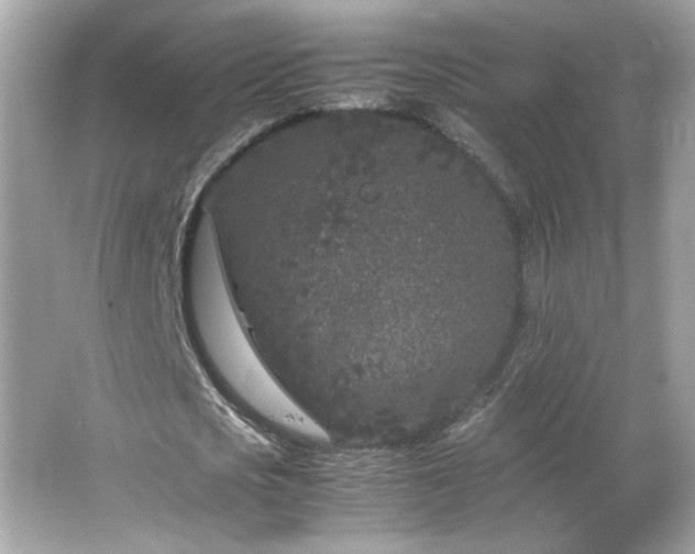 X0000066940721200603271136