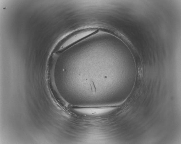 X0000066940724200603271136