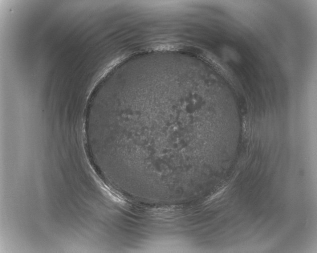 X0000066940725200603271136