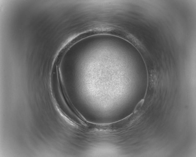 X0000066940726200603271136