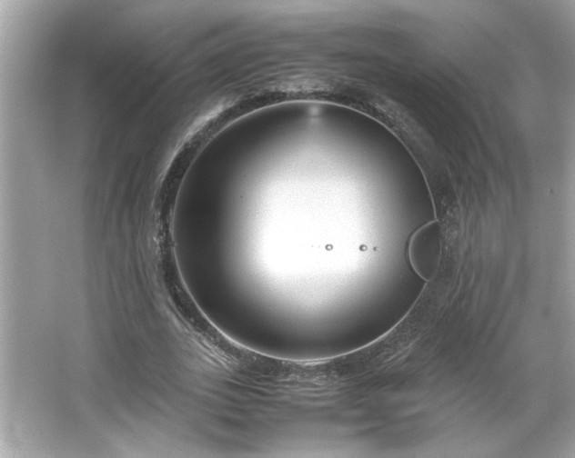 X0000066940727200603271136