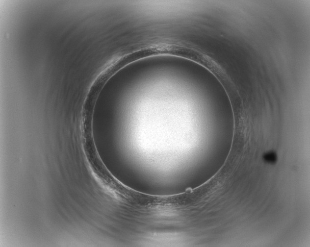 X0000066940730200603271136