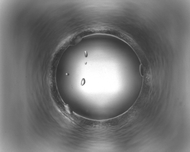 X0000066940732200603271136