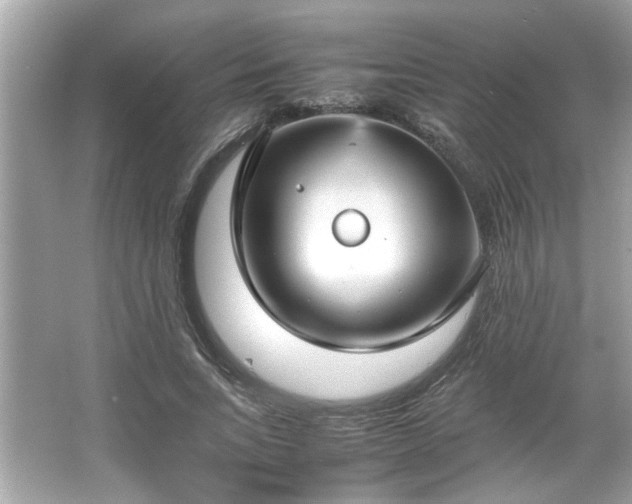 X0000066940735200603271136