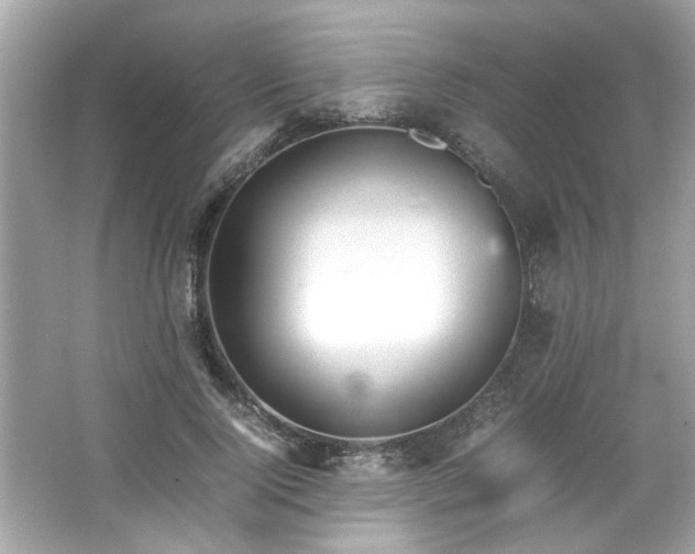 X0000066940740200603271136