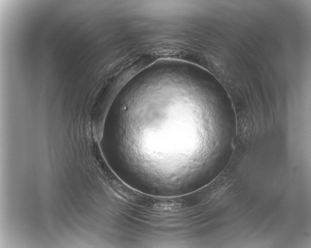 X0000066940745200603271136