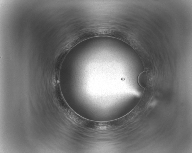 X0000066940746200603271136