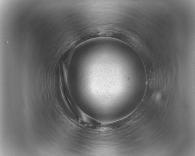 X0000066940748200603271136