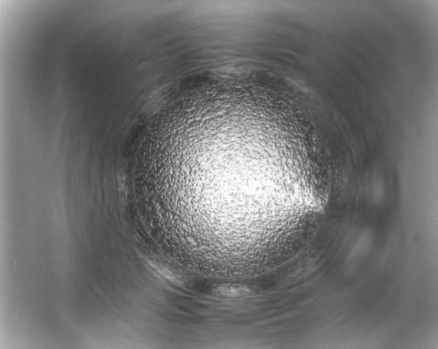 X0000066940749200603271136