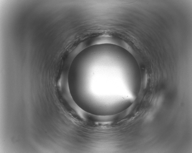 X0000066940750200603271136