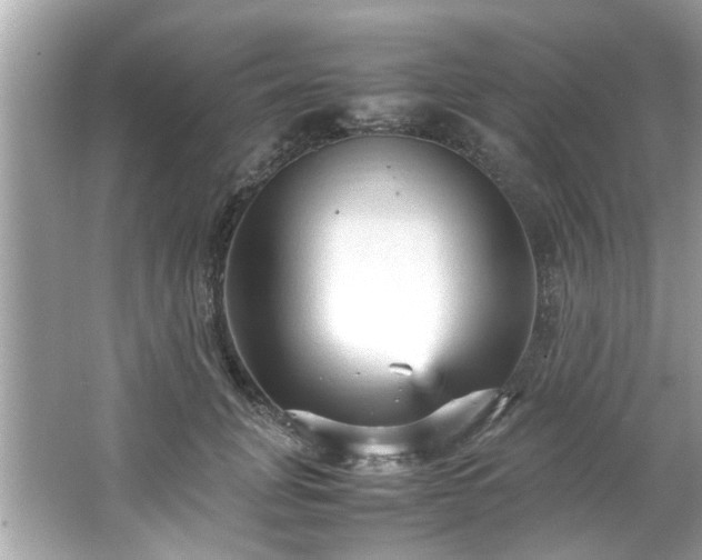 X0000066940751200603271136