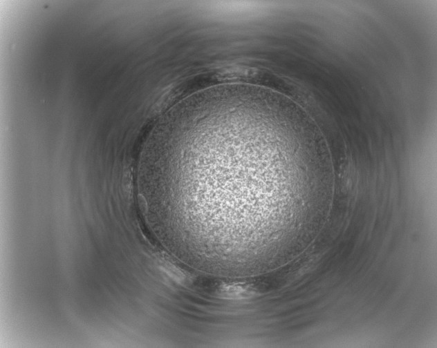 X0000066940753200603271136