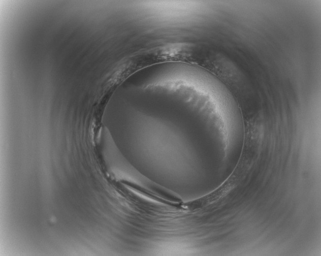 X0000066940754200603271136