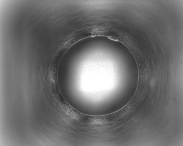 X0000066940755200603271136