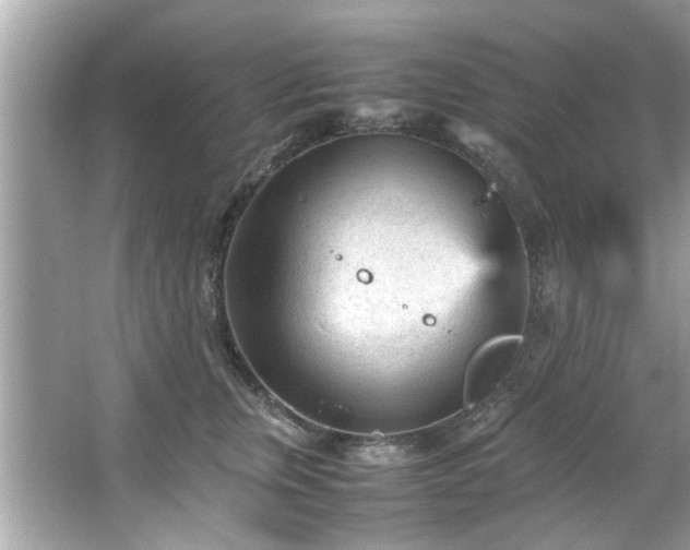 X0000066940759200603271137