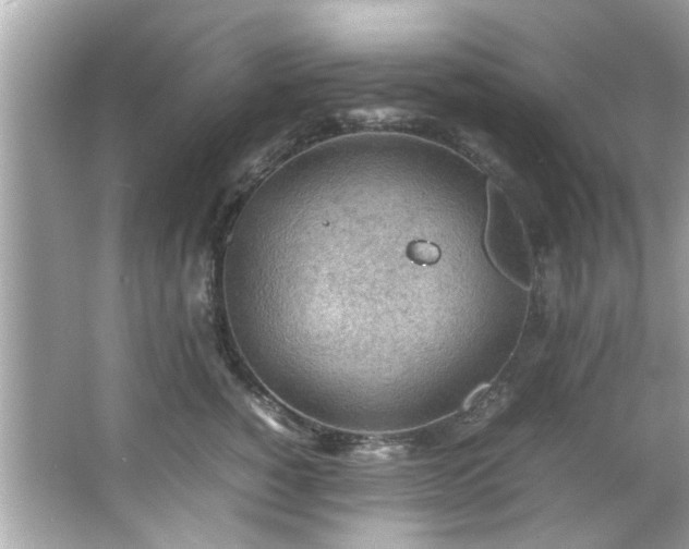 X0000066940760200603271137