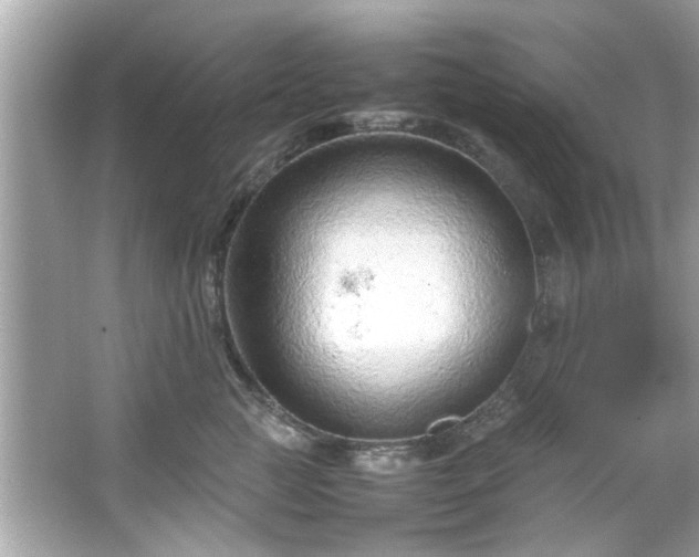 X0000066940761200603271137