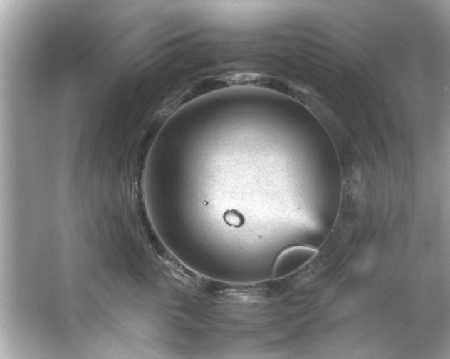 X0000066940763200603271137