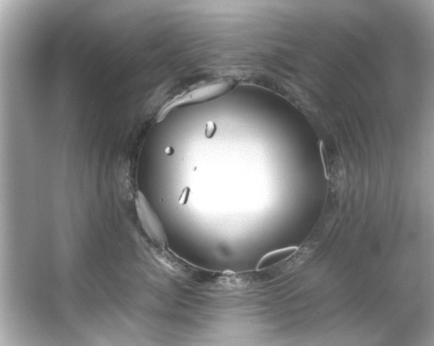 X0000066940764200603271137