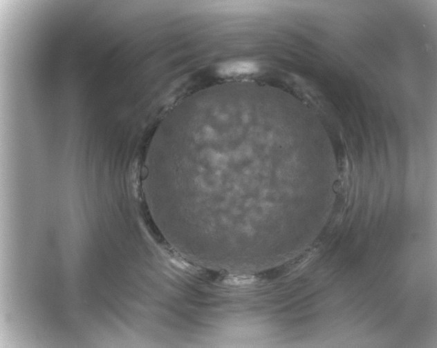 X0000066940767200603271137