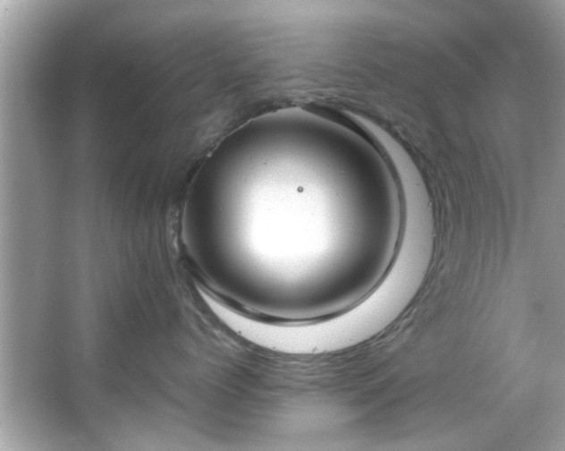 X0000066940768200603271137