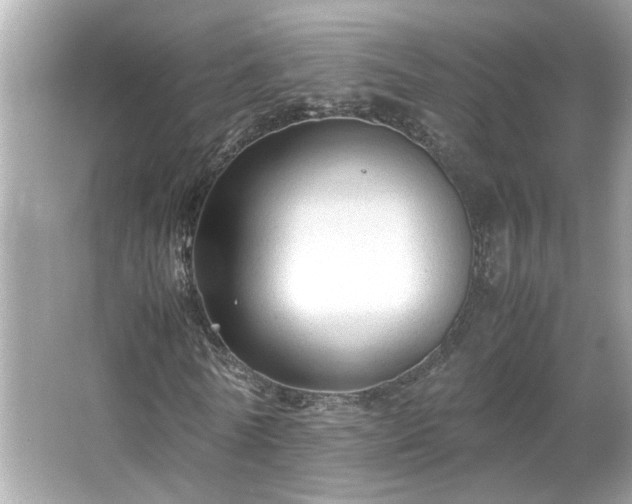 X0000066940770200603271136