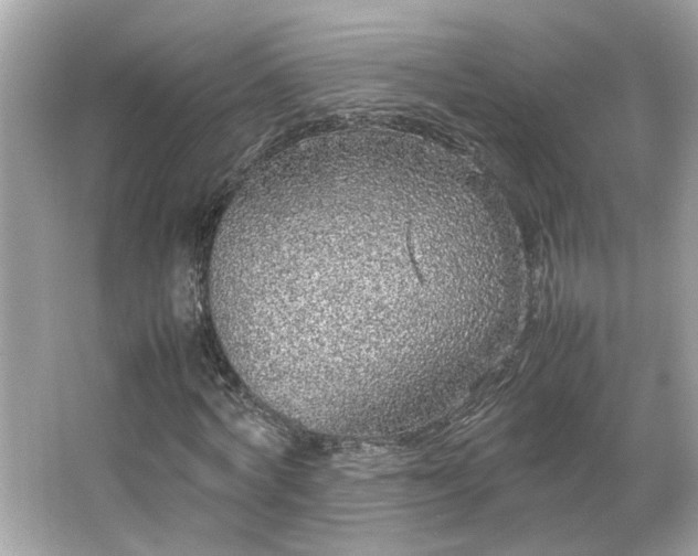 X0000066940772200603271136