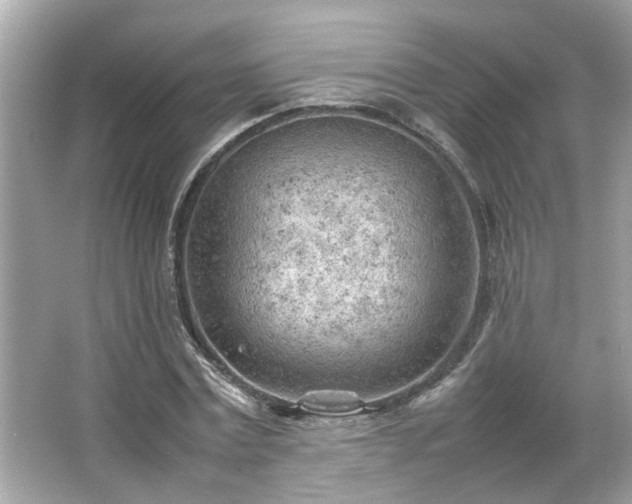 X0000066940779200603271136