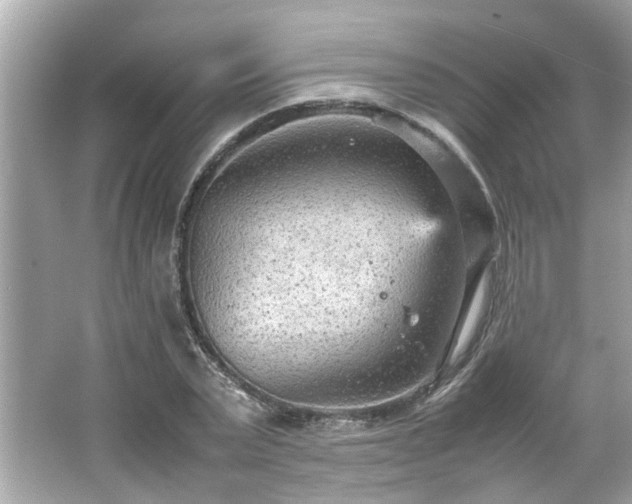 X0000066940783200603271136