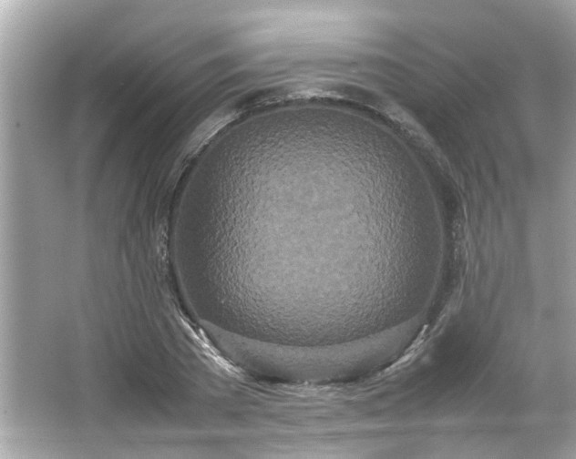 X0000066940785200603271136