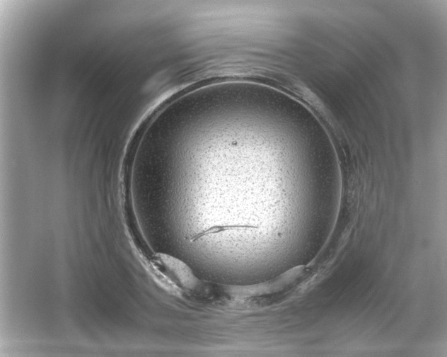 X0000066940787200603271136