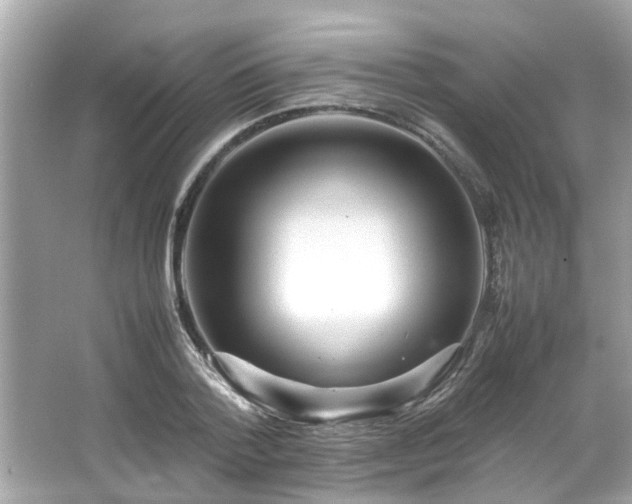 X0000066940788200603271136