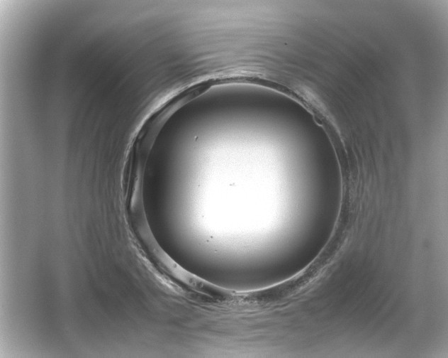 X0000066940789200603271136