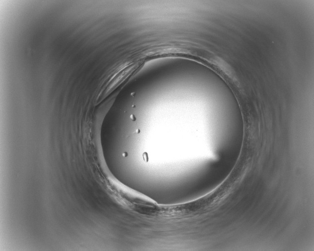 X0000066940793200603271136