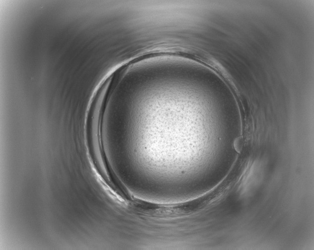 X0000066940795200603271135