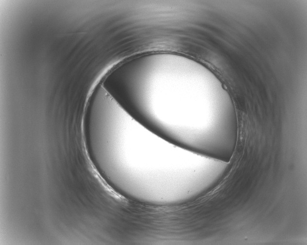 X0000066940796200603271135