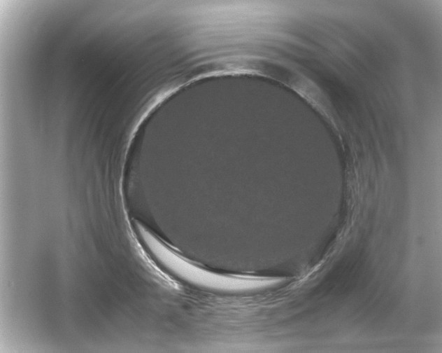 X0000066940797200603271135