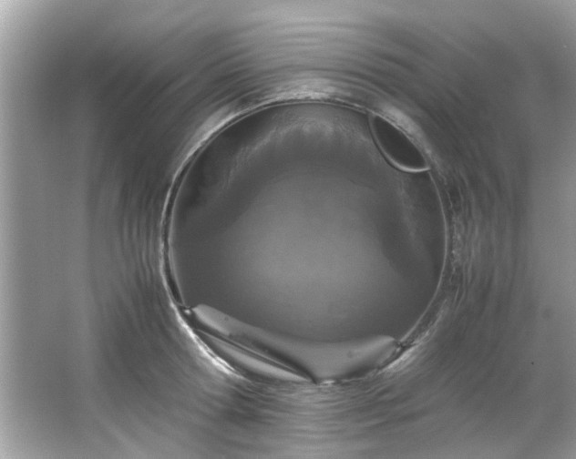 X0000066940802200603271135