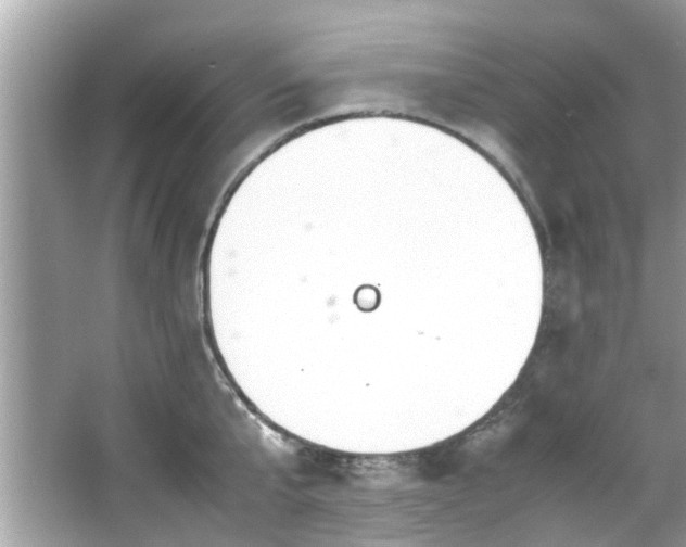 X0000066940807200603271135