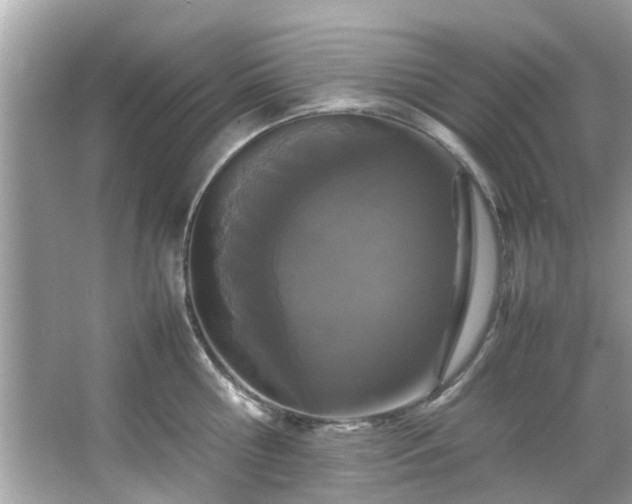 X0000066940810200603271135