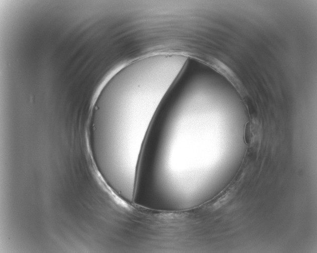 X0000066940812200603271135