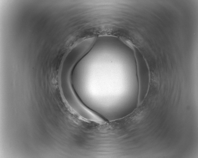 X0000066940818200603271134