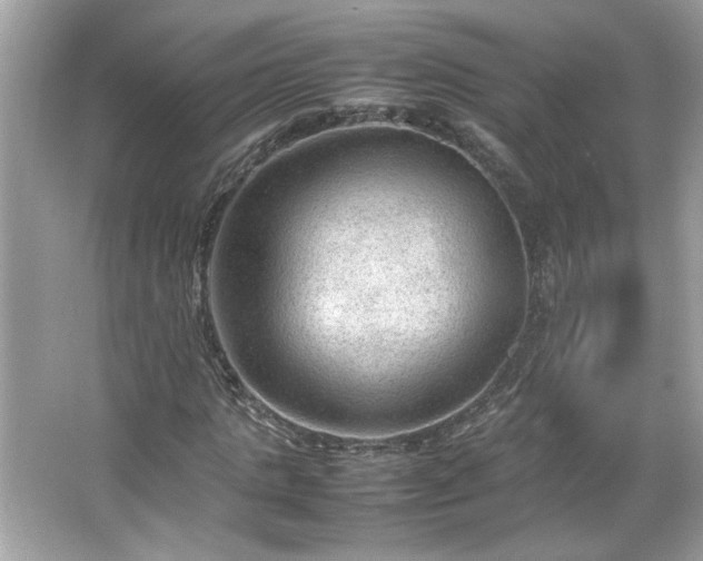 X0000066940821200603271134