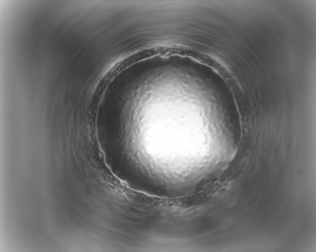 X0000066940823200603271134