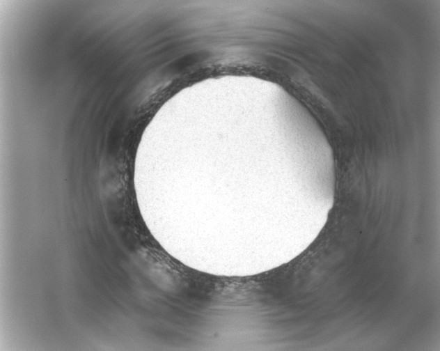 X0000066940824200603271134