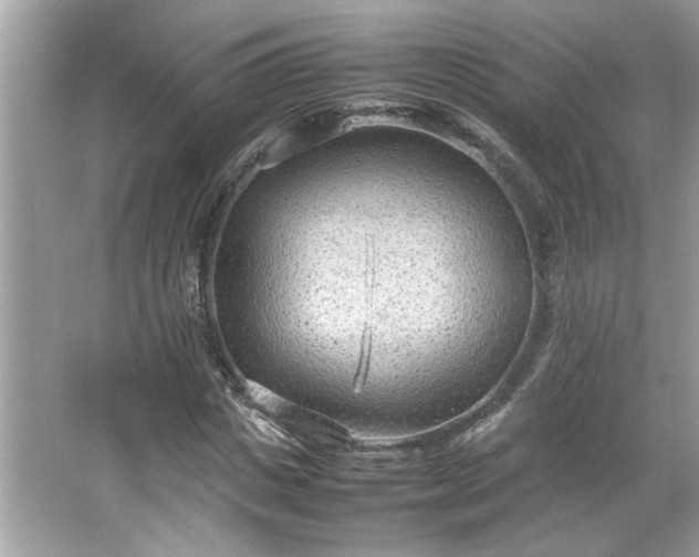 X0000066940825200603271134