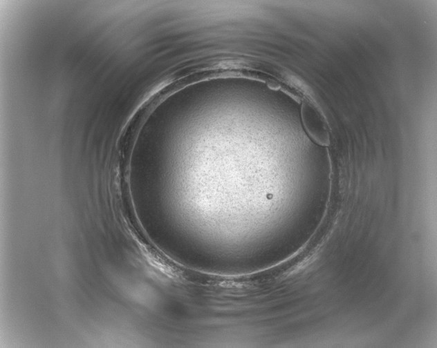 X0000066940827200603271134