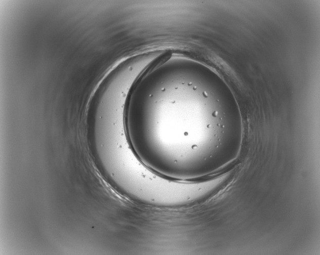 X0000066940828200603271134