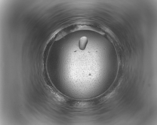 X0000066940829200603271135