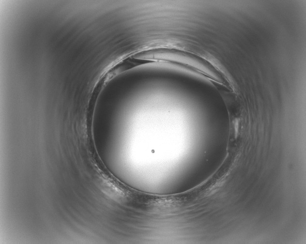 X0000066940834200603271135